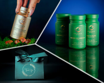 The Family Wellness Collection (Any 2 capsules + 10 Mushroom Blend Gummies)